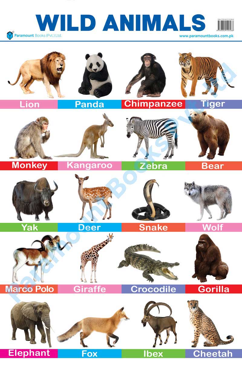 Wild Animals chart – almaqtabooks.com